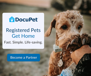 registered pets get home with docupet
