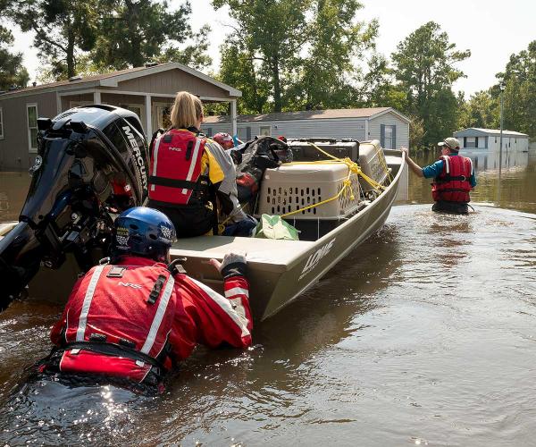 Disaster Prep