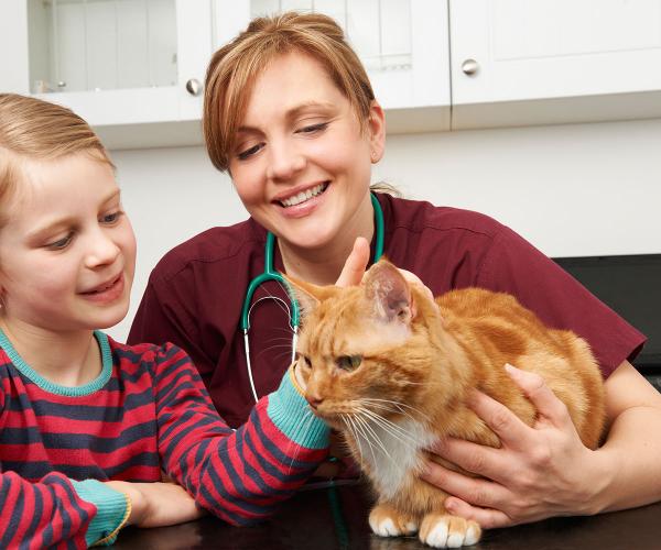 Girl Taking Cat To Vet To Be Examined