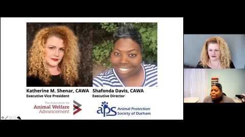 Advancing diversity, equity, and inclusion in animal welfare