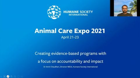 Creating evidence-based programs with a focus on accountability and impact