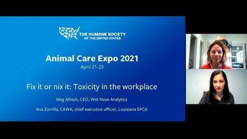 Fix it or nix it: Toxicity in the workplace