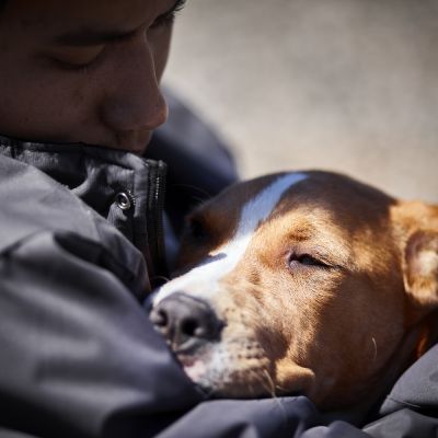 a woman gazes at a dog she's holding