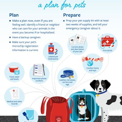 COVID-19 preparedness: A plan for pets