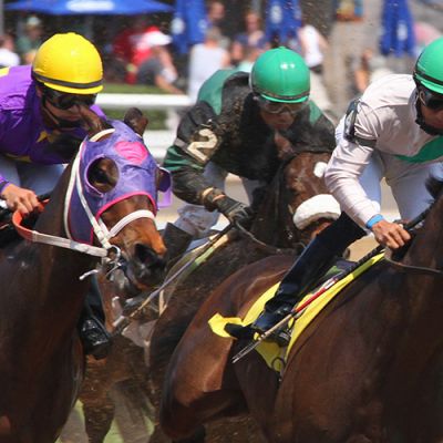 Horse racing
