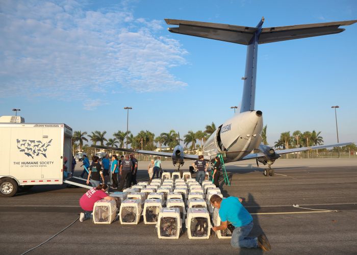 a group of crates sit next to a plane on a runway