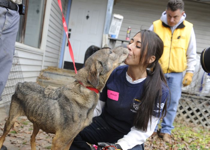 Ashley Mauceri pets a severly emaciated dog that has been removed from abject filth.