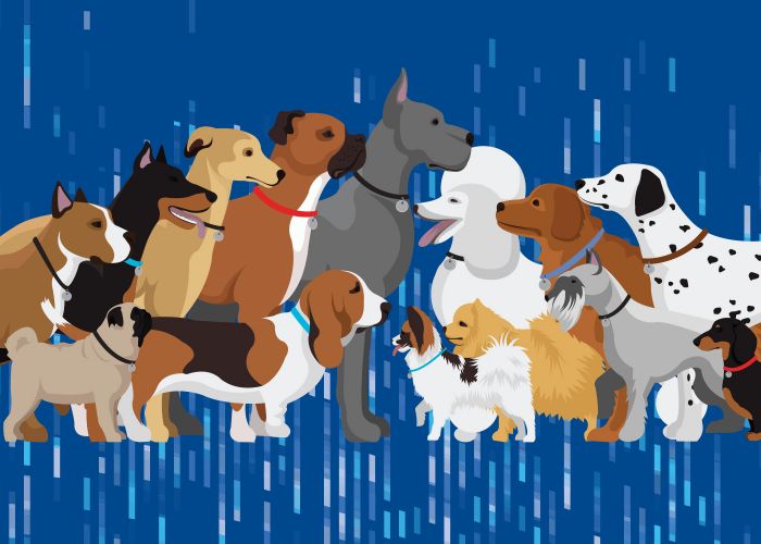 Illustration of various breeds of dogs