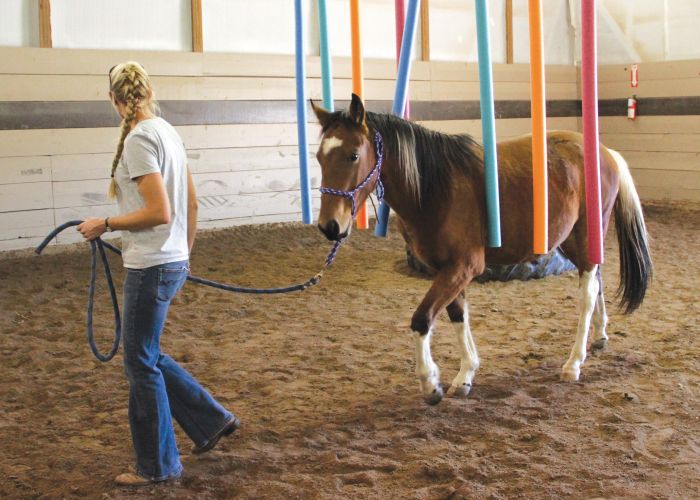 a woman guides a horse through a series of colored beams