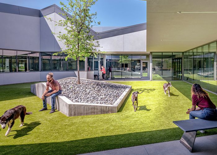 Photo showing people with their dogs in the courtyard of the Santa Clara Center.