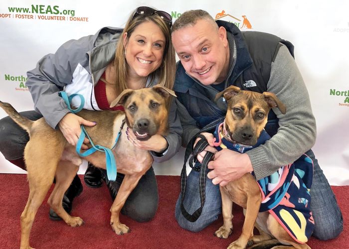 a man and woman kneel and pose with two dogs