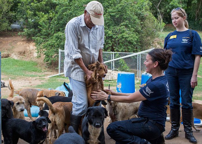 two women and a man examine a pack of dogs