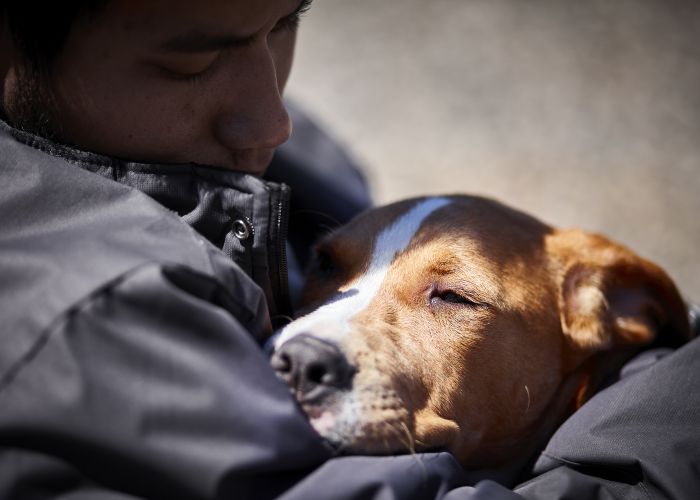 a woman gazes at a dog she's holding