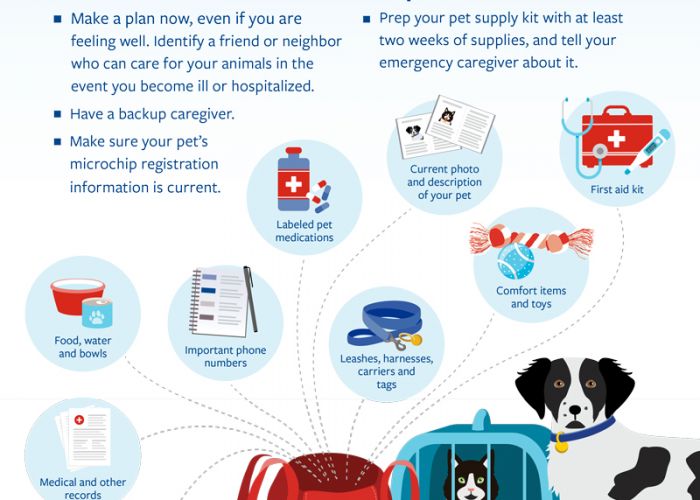 COVID-19 preparedness: A plan for pets