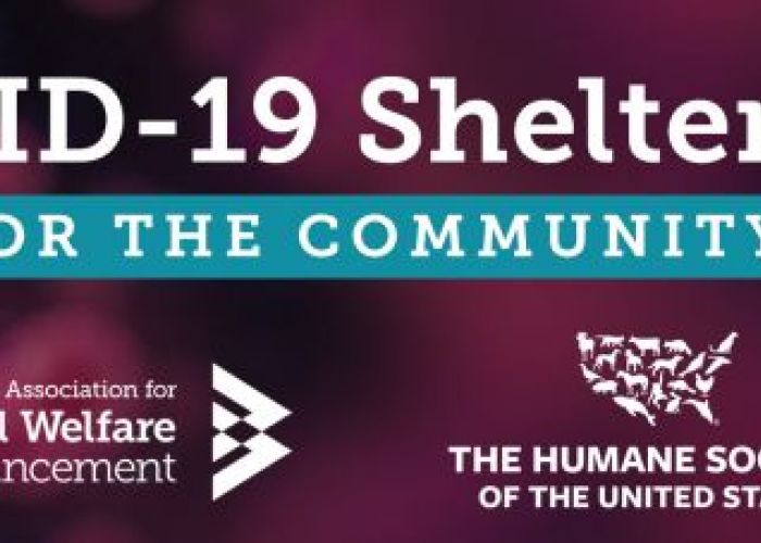 Covid-19 shelter kit for the Community