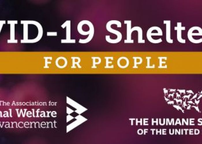 Covid-19 shelter kit for people