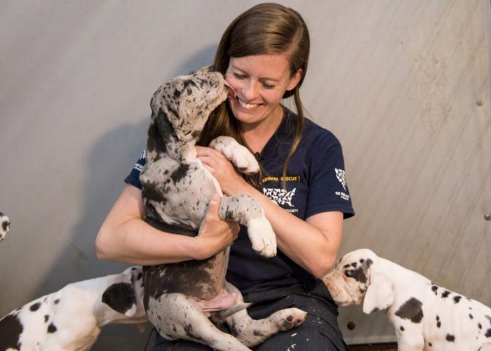 a woman cuddles a puppy
